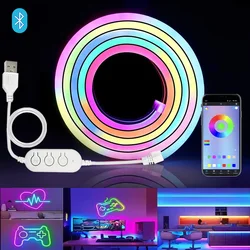 Strisce luminose al neon a LED Bluetooth Luce a corda al neon con sincronizzazione musicale RGBIC Dreamcolor Chasing Strip Tape per l'arredamento di giochi in camera