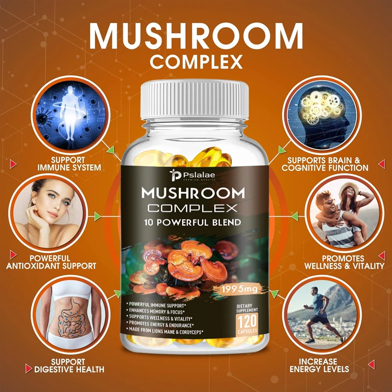 Pilzkomplex-Kapseln – mit Löwenmähnen, Chaga, Reishi, Cordyceps – unterstützen das Immunsystem, Gedächtnis, Konzentration und Stress abbauen