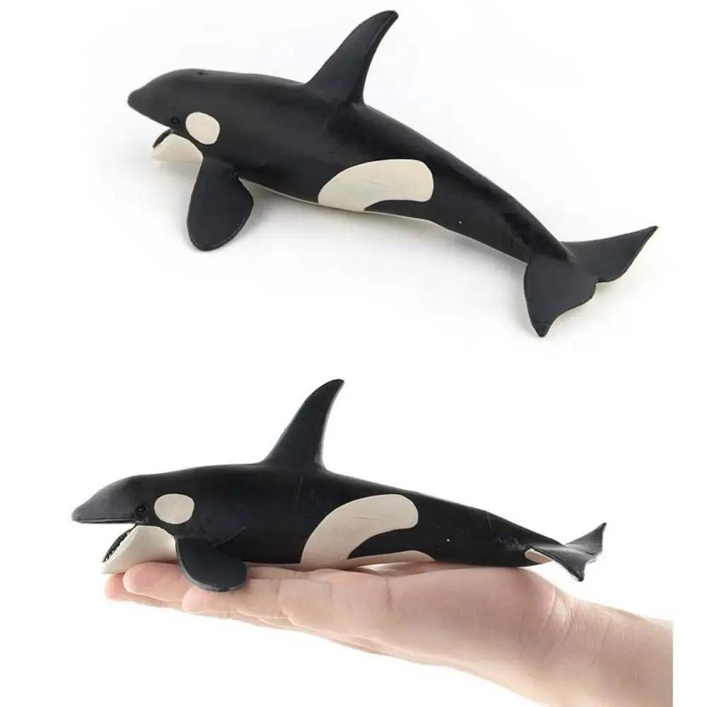 Simulation d'animaux marins, modèle de baleine sperme, baleine biologique sous-marine, Figurines éducatives en PVC solide, jouet pour enfants