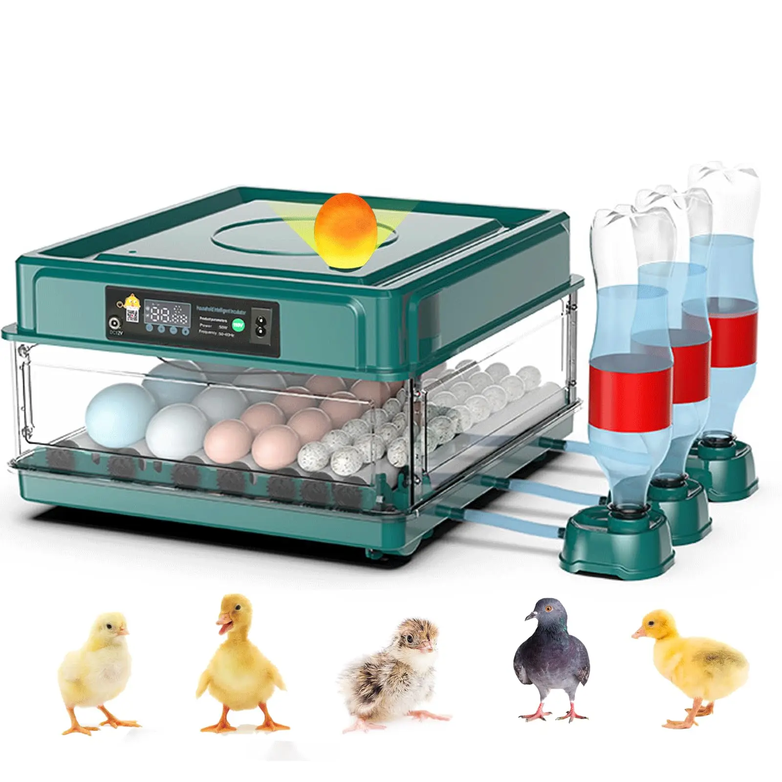 egg-incubator-incubators-for-hatching-eggs-egg-incubator-with-automatic-egg-turning-and-temperature-control-automatic-water
