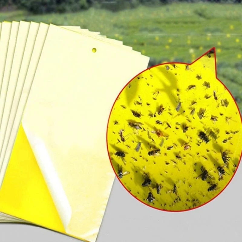 Cara amarillo: Todo lo que necesitas saber sobre las trampas amarillas para el control de plagas