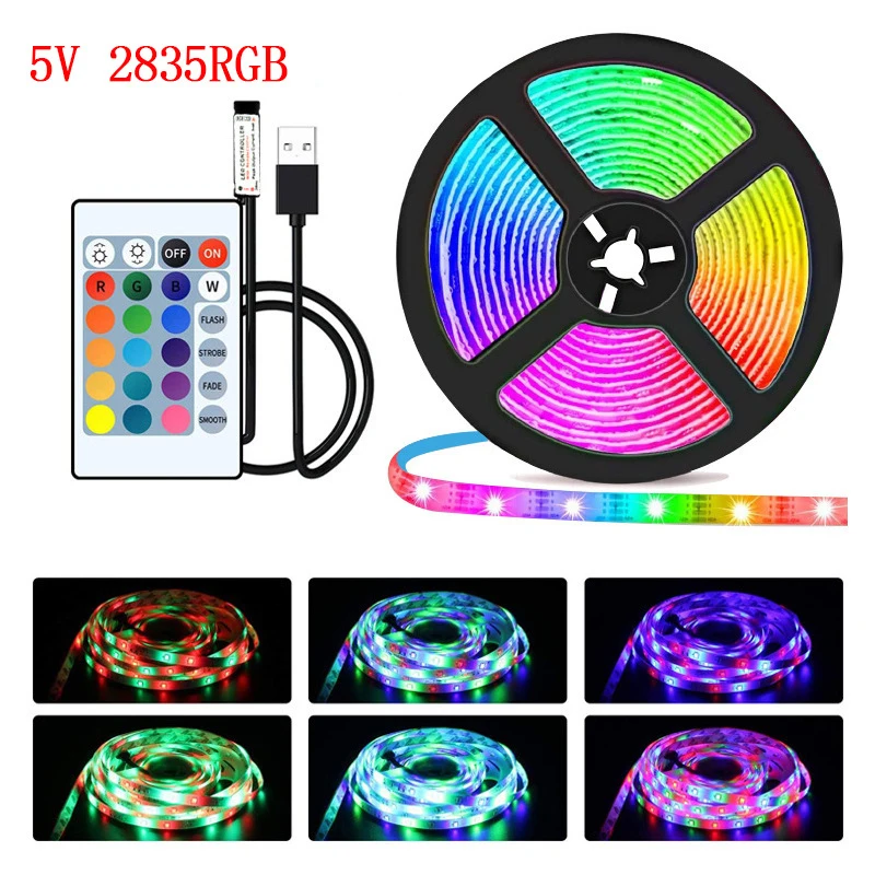 SMD 2835 1M USB LED Strip Lights 60LEDs/m RGB Tape With Remote Control Flexible Tape Diode Ribbon TV Backlight Room Decor