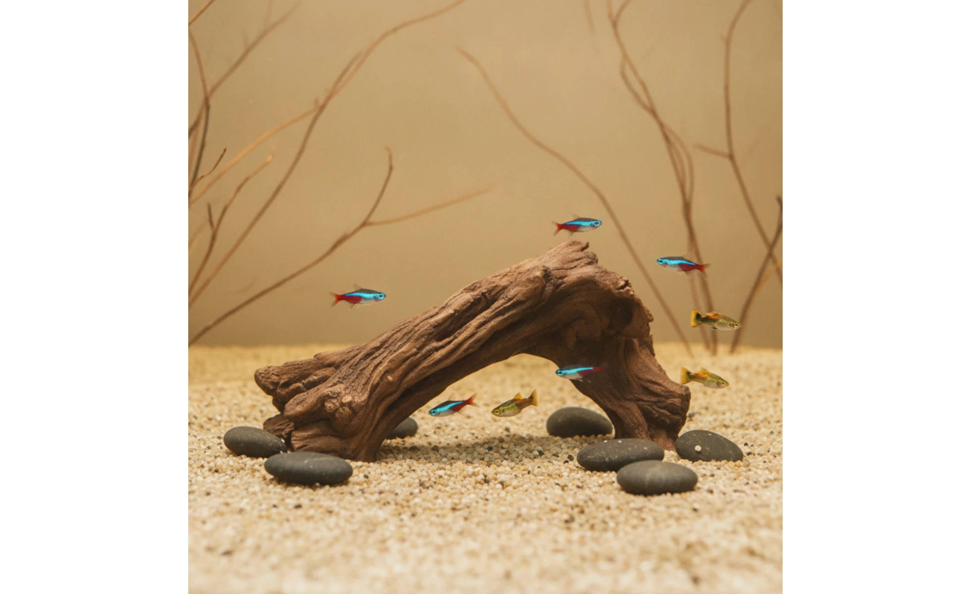 Artificial Driftwood Irregular Aquarium Driftwood Aquarium Stump Realistic Aquatic Pet Tank Cave Lifelike for Aquarists