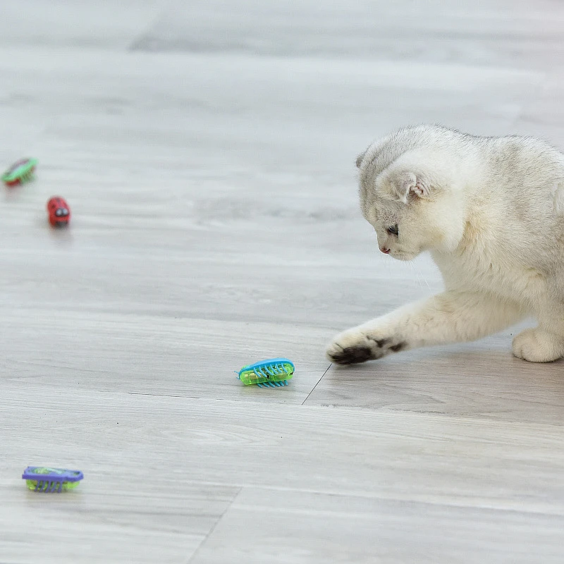 Cat Toys Luminescence Electric Worms Pet Interactions Insects Beetle Micro Worms Automatic Flipping Obstacle Avoidance Plaything - view 5
