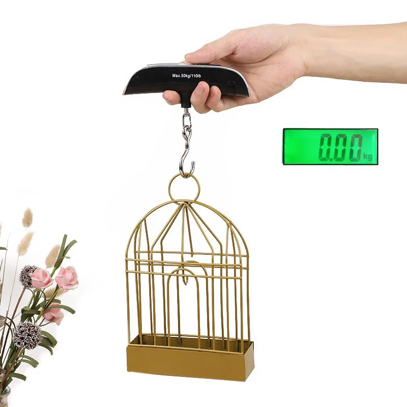 Luggage Scale Electronic Handheld Hook Parcel 50KG Mini Hanging Portable Spring Fishing Travel Airplane T-Shape Small Gram