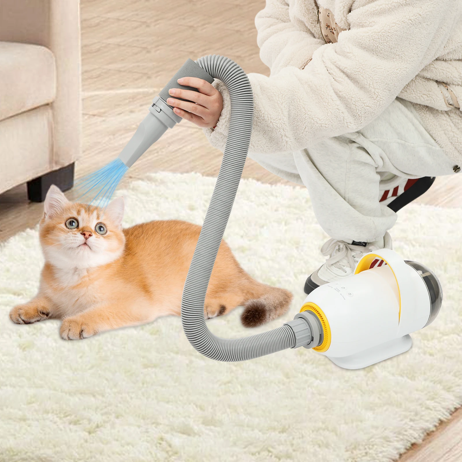 

7 - Temperature Settings Pet Dryer with Digital Display: Precise Comfort for Your Furry Friend