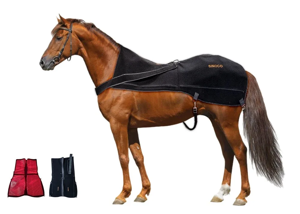 

Horse Therapy Equipment Equine In/frared Treatment Horse Pain Relief Pet Used for Back Equestrian 850nm 660nm