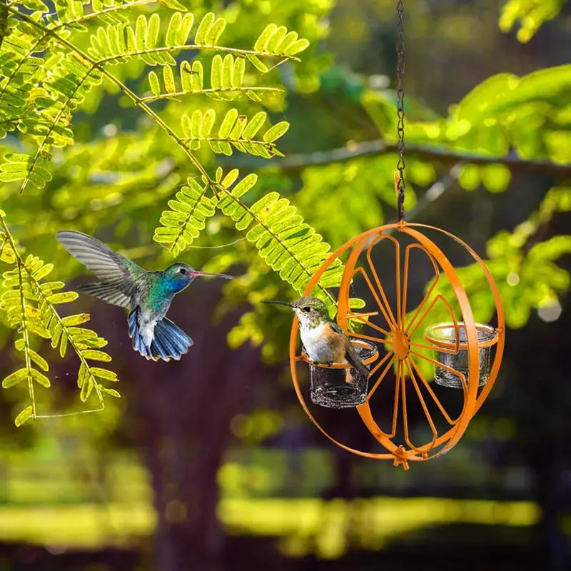 Bird Jelly Feeder Metal Yard Hummingbird Fruit Holder Hangings Drinking Grape Jelly Container Orange Bird Water Feeder Fruit