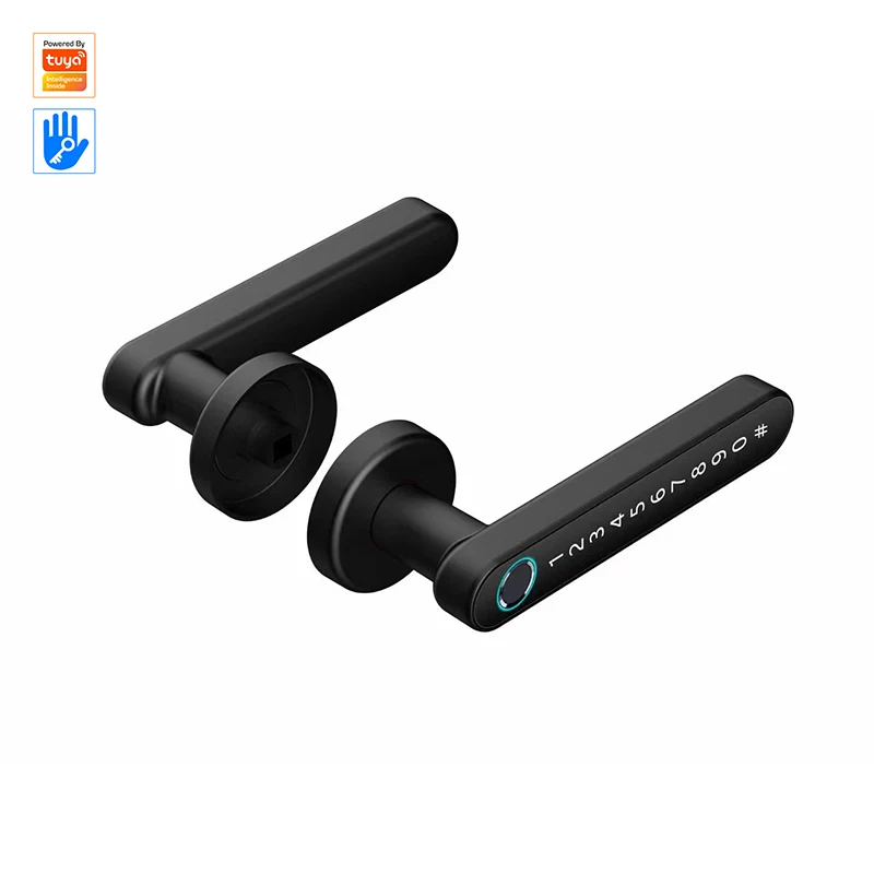 

Умная дверная ручка для главной комнаты с защитой от взлома по отпечатку пальца и Wi-Fi, с функцией дублирования ключей, по цене производителя