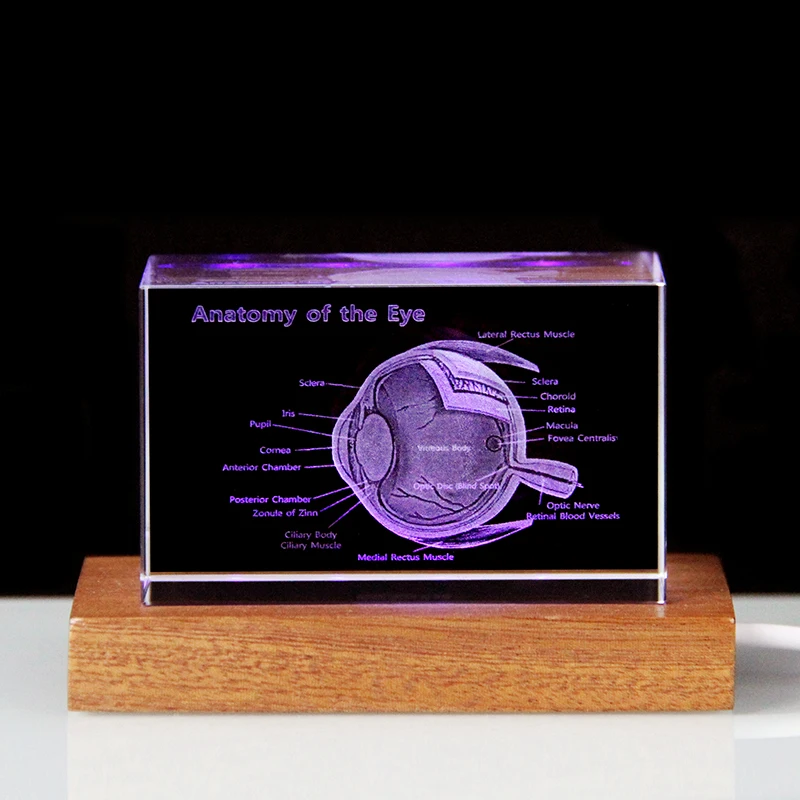 Eye Organ Model Crystal Cube Ophthalmology Medical Science Gifts Crystal Glass Figurine Paperweight Oculist Gifts Souvenir