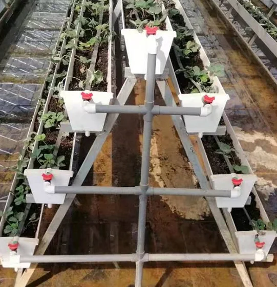 

Customized greenhouseHigh-Quality PO Plastic Film Greenhouse for Strawberry Planting Hydroponic
