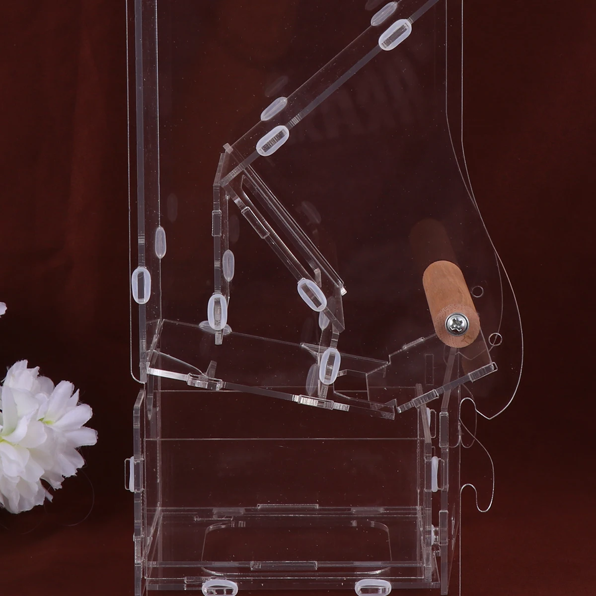 

1Pcs Automatic Parrot Feeder Acrylic Bird Cage Food Container Size L Feeding Tool for Budgerigar Canary Birds Supplies