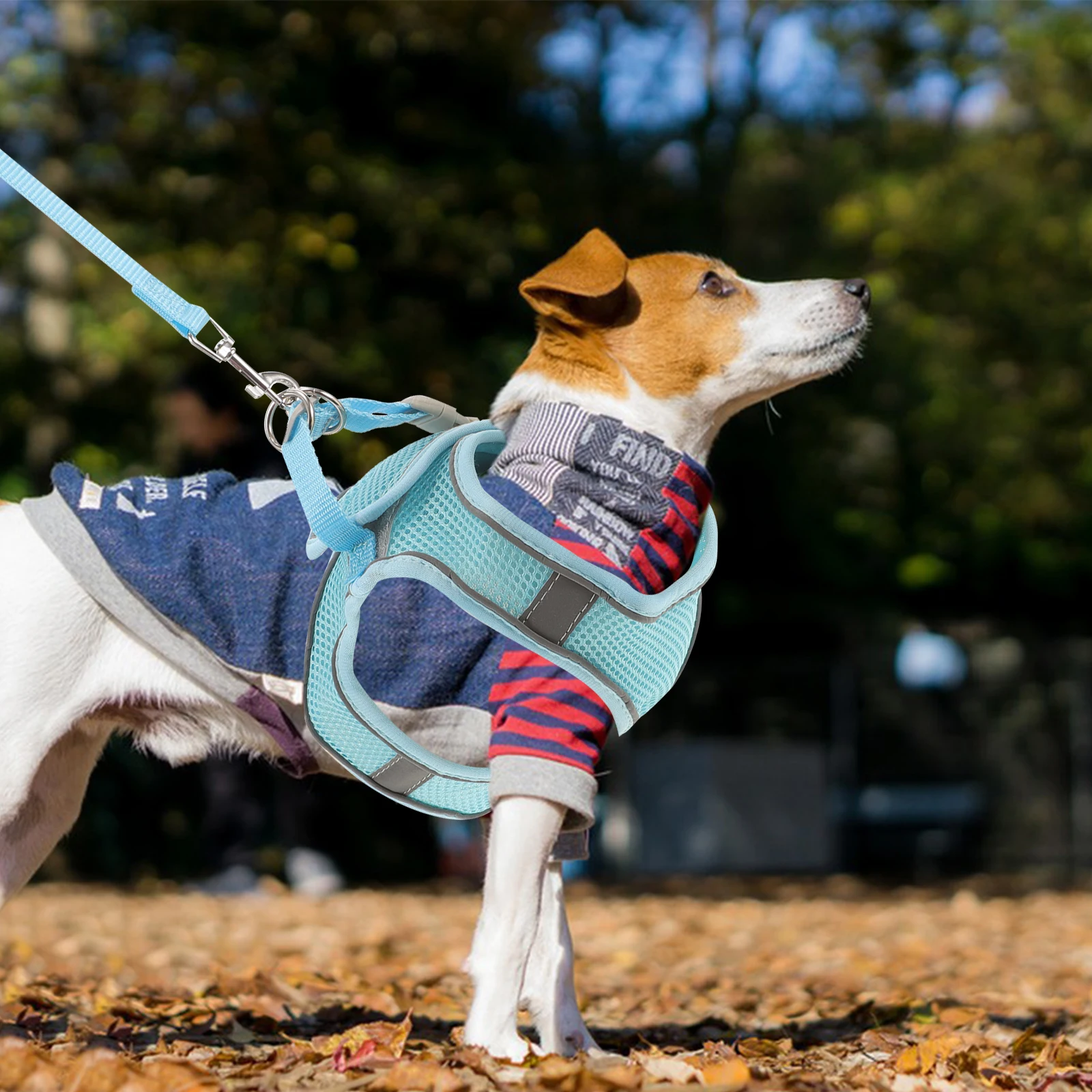 

1 set 1 Set Dog Harness With Leash Breathable Reflective Pet Vest Durable Adjustable For Walking Outdoor Small Medium Large Dog