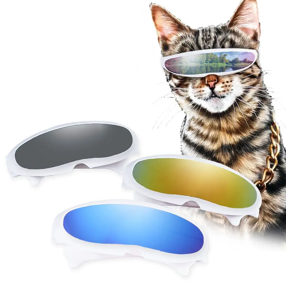 Fashion Cute Cat Sunglasses UV Protection Multicolor Dog Glasses Funny Daily Photography Props Handsome Pet Eyewear