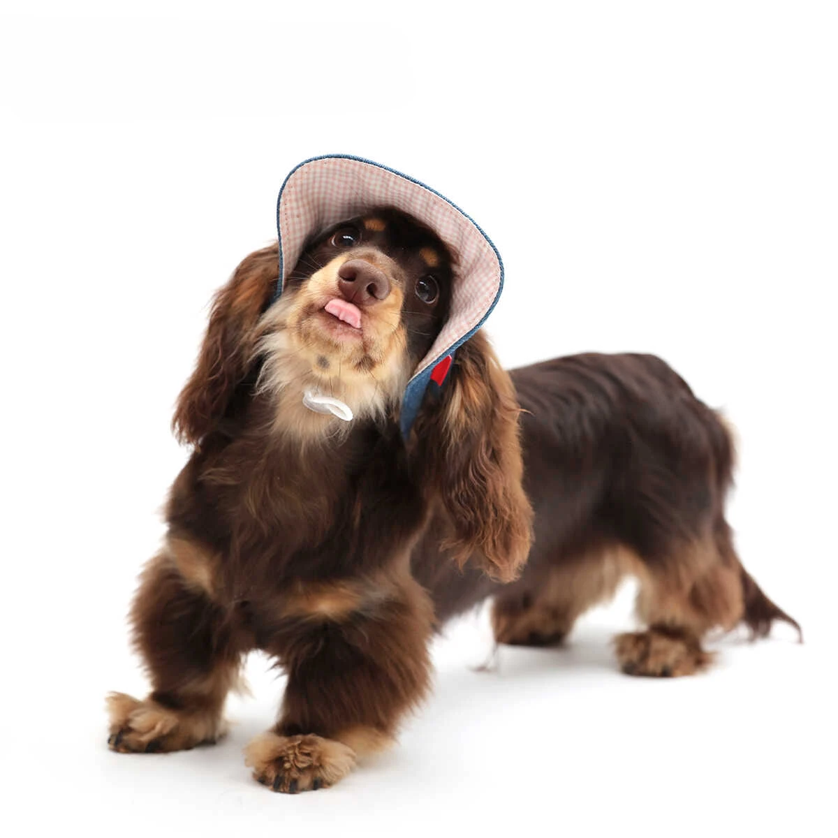 Dog Hat Dachshund Sunscreen Cap Baseball Cap Outdoor Sports Hat Ear Holes Adjustable Pet Cap for French Bulldog Yorkie Poodle