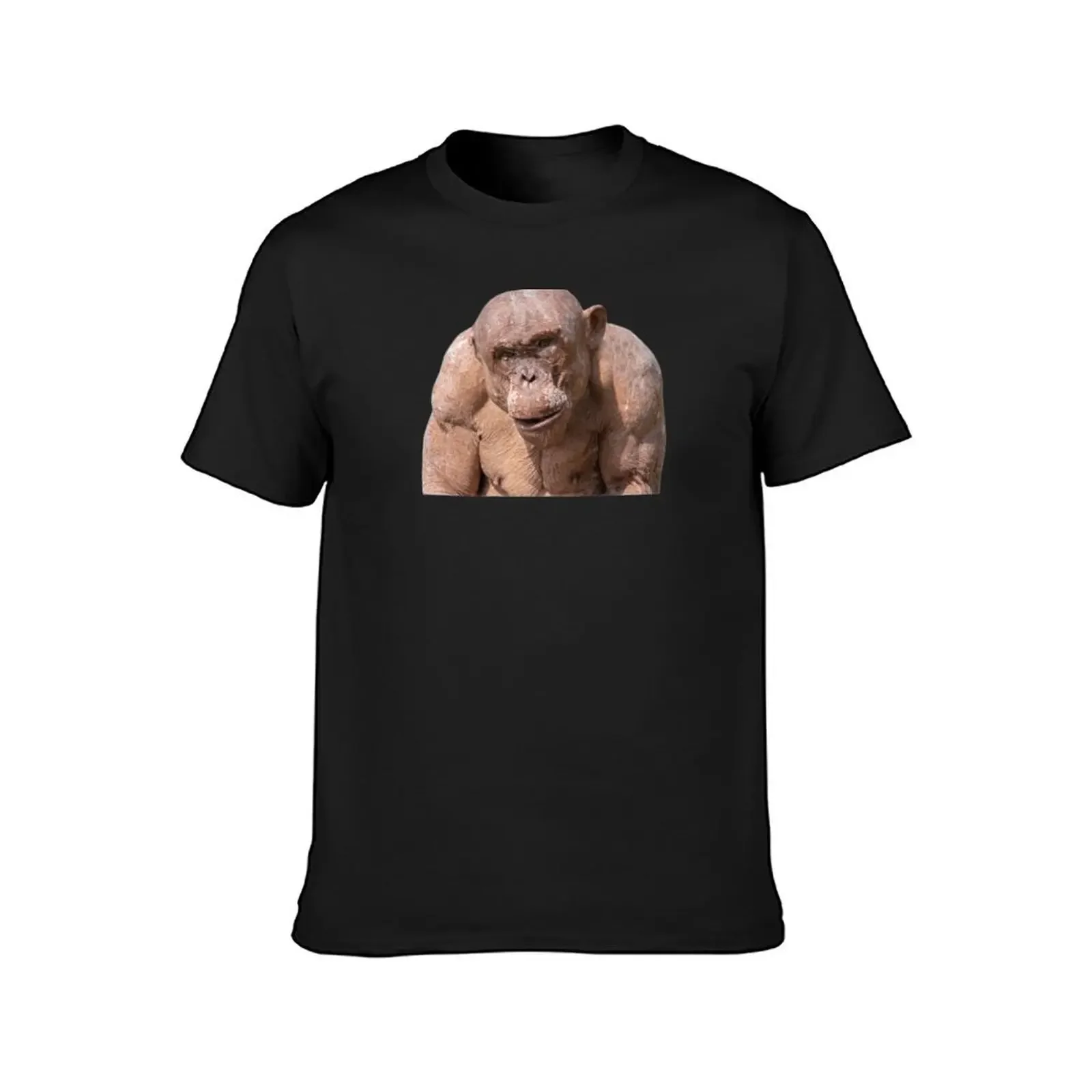 Jambo The Hairless Male Chimp (Transparent Background) T-Shirt graphic t shirts plus size clothes heavy weight t shirts for men