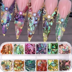 12Grids Colorful Irregular Natural Sea Shell Texture Thin Abalone Slice Pallitte Nail Art Sequins Manicure Decals Tip Decoration