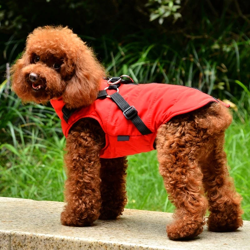Pet Dog Jacket With Harness Winter Warm Dog Clothes Waterproof Small Dog Coat Puppy Pet Clothing Chihuahua French Bulldog Outfit