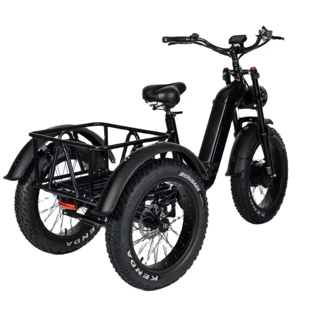 

Electric Trike 750W Motor Fat Tire 3 Wheel E Bike Tricycle Three Wheels Adult Cargo Electric Bike With Basket