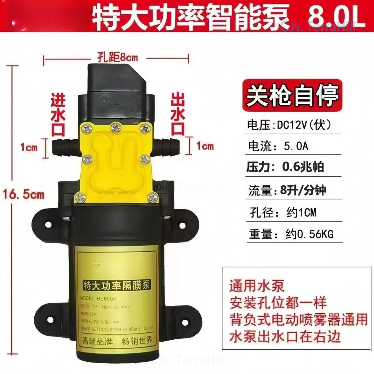 Mini Electric Diaphragm Pump 12V High Flow Sprayer Car Wash Pump for Agricultural Irrigation