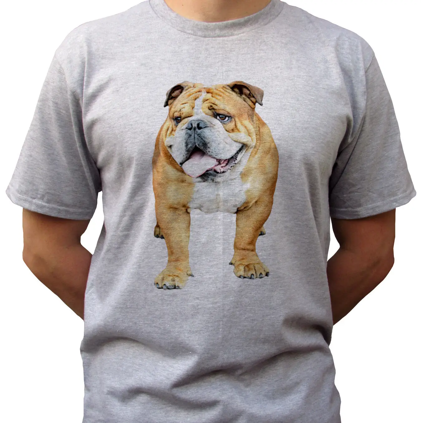 

Bulldog design - grey t shirt top english bulldog tee dog design - mens sizes