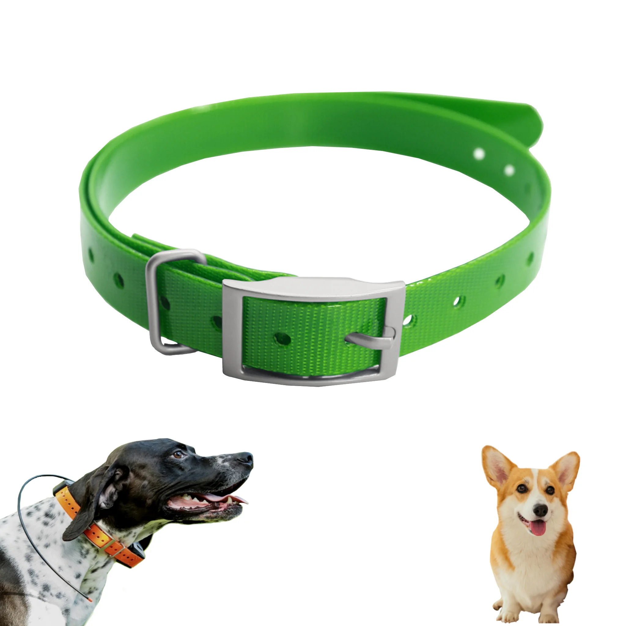Thumbnail 2 - #21 Ranked Adjustable Pet Collars Picks in 2026