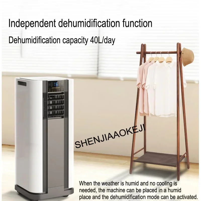 Klimaanlage 220V Einzigen kalten typ heizung und kühlung typ einer maschine Entfeuchtung bidirektionale timing luft conditione