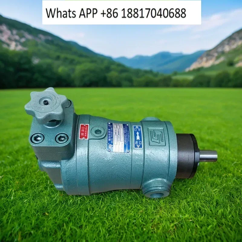 Axial Piston Pump 1…