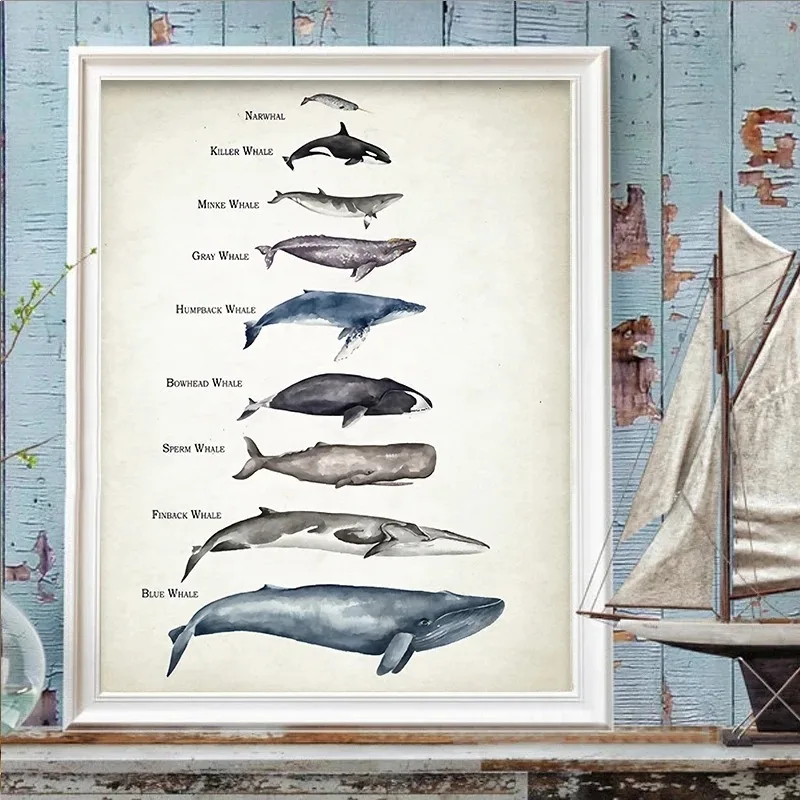 Sharks of The World Art Great White Shark Mako Hammerhead Tiger Bull Basking Whale Print Canvas Painting Posters for Home Decor