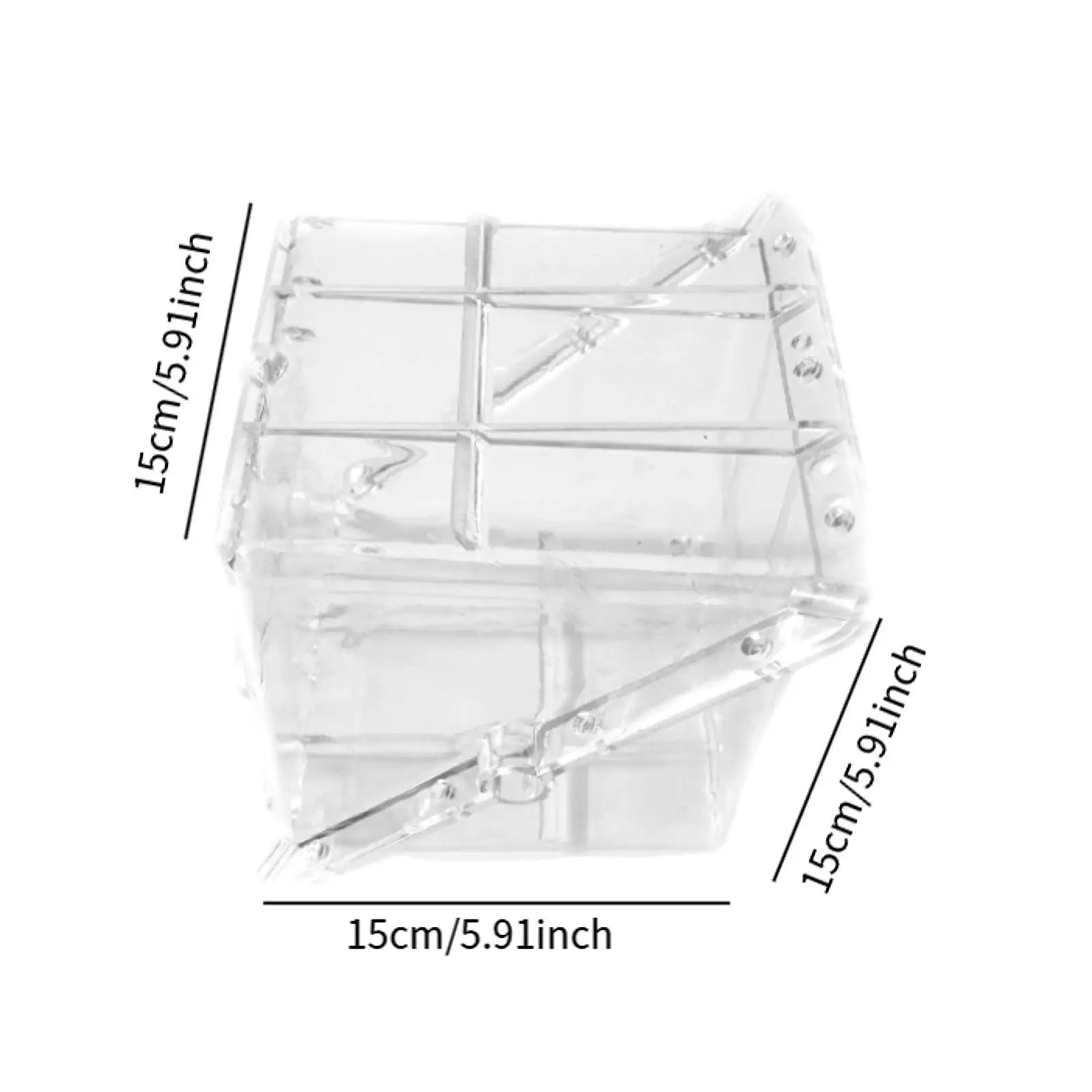 Square Watermelon Growth Model Fruit Shape Tool Clear Equipment Premium Creative Professional Garden Practical Unique Reusable