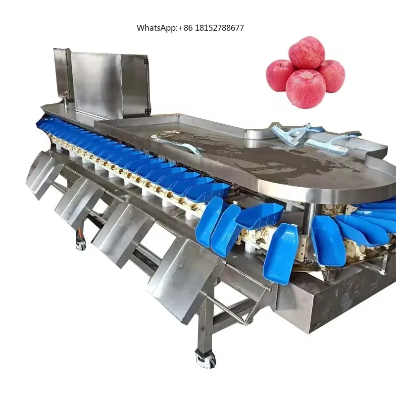 Vegetable Grading Machine Kiwi/Orange/Tomato Sorting Machine Tomato Grader