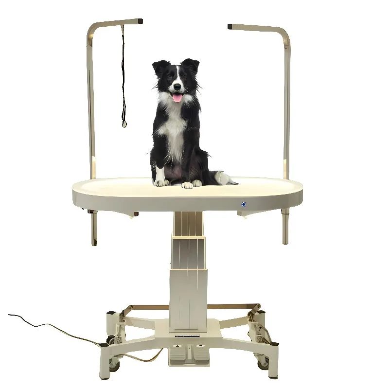 Professional LED Electric Lift Pet Grooming Table Electric Illuminated Pet Grooming Table for Dogs