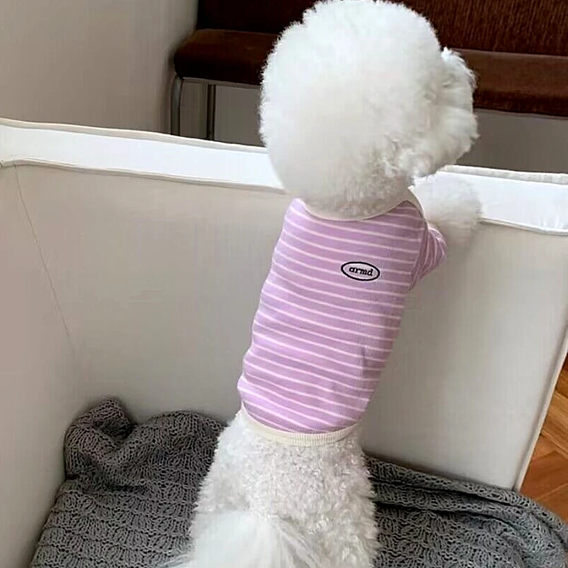 Roupa listrada verde para cães, colete de pelúcia, macio do que o urso, camiseta de cachorro pequeno, moda pet, verão