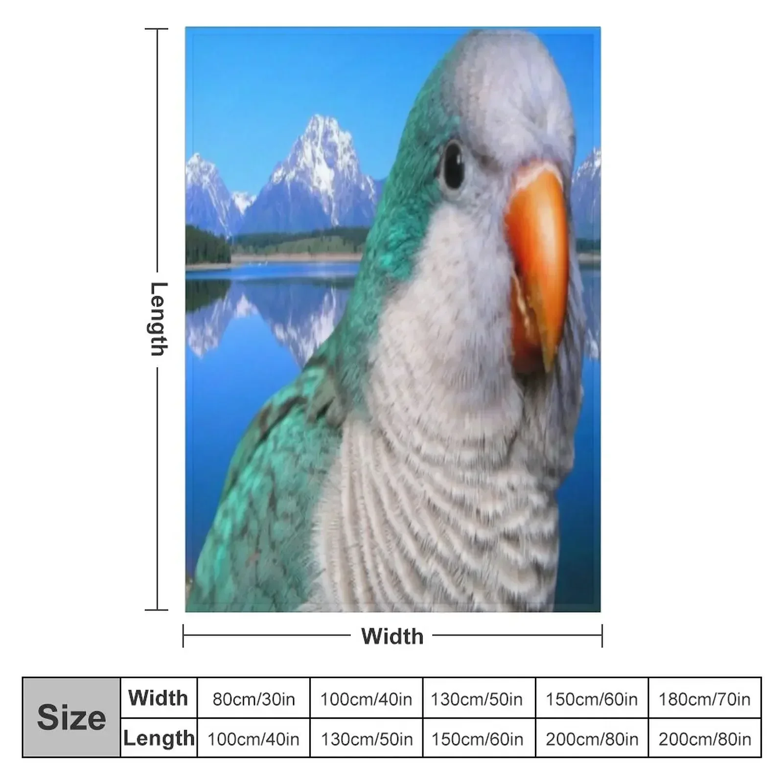 Monk Parakeet Throw Blanket couch cozy soft plush fuzzy picnic outdoor blanket