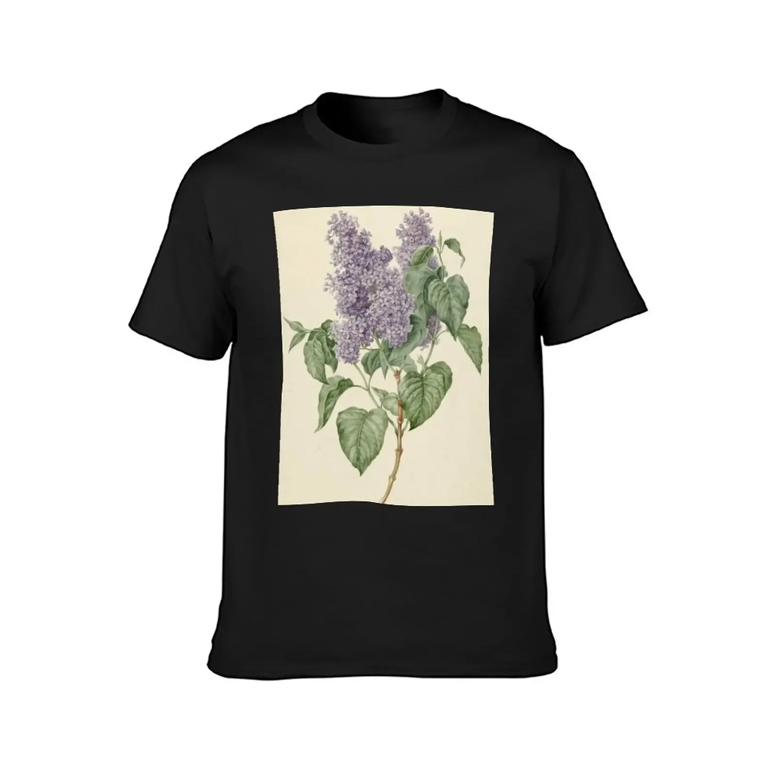 Lilac Botanical Print T-Shirt customs design your own anime clothes korean fashion plain white t shirts men