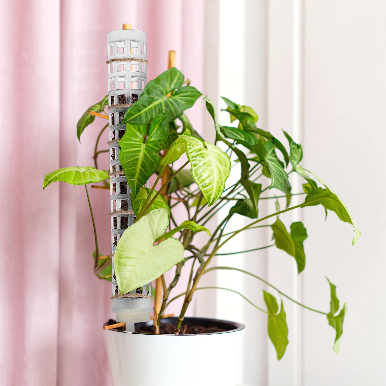 

6 Pcs Moss Poles Plant Supports for Monstera Plastic Ropes Indoor Plants White Reusable PE Climbing Stakes Vines Fillable
