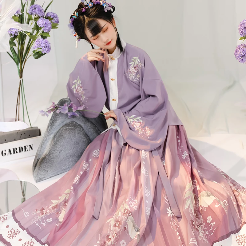 Hanfu Ming – vêtements traditionnels chinois de la dynastie pour femmes, jupe plissée à col montant, tenue brodée, vêtements anciens, 2 pièces