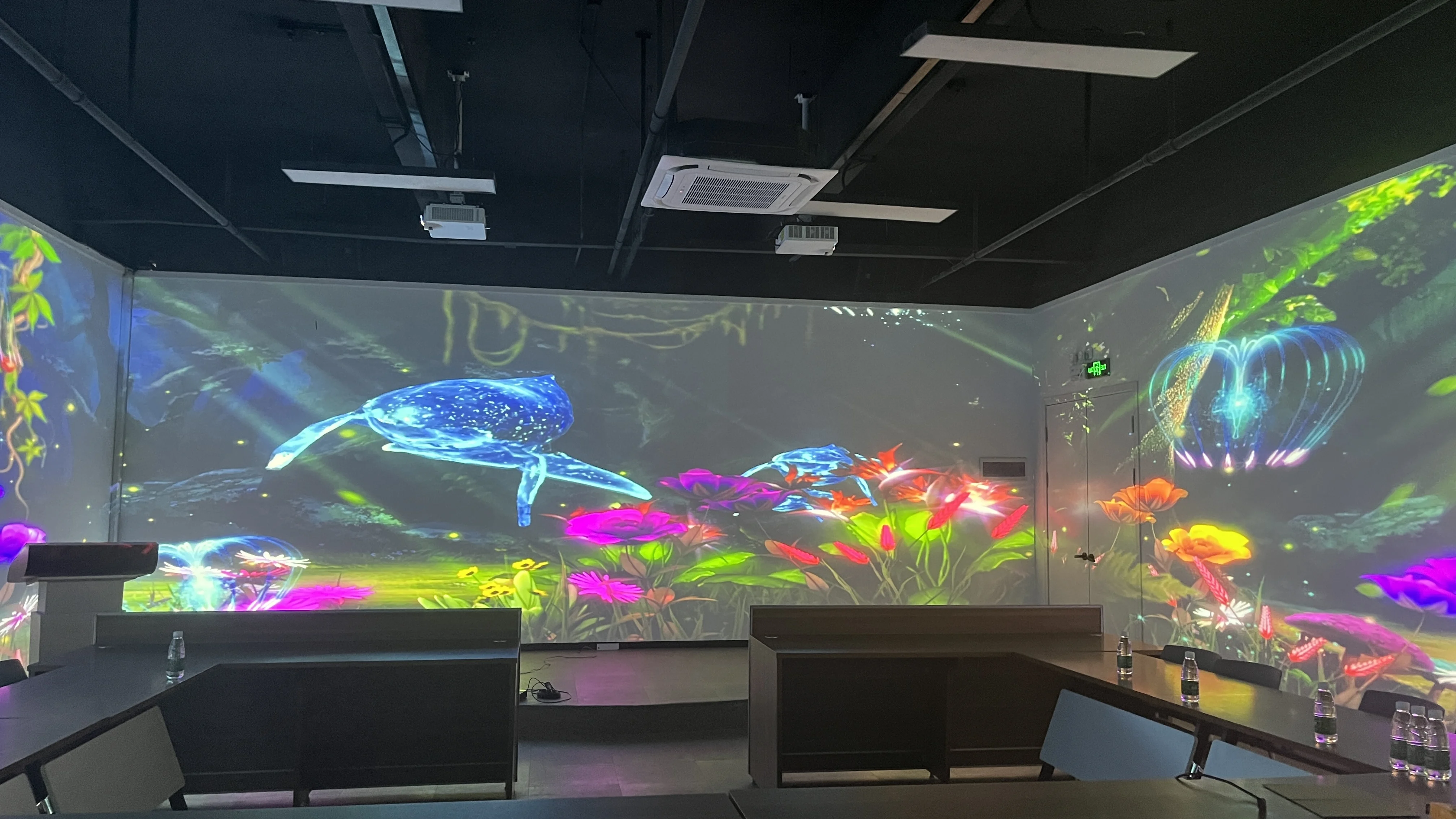 SMX Interactive Floor/Wall Projection Immersive 4K Laser Projection Mapping Virtual Reality Museum Show Aquarium Manual Portable