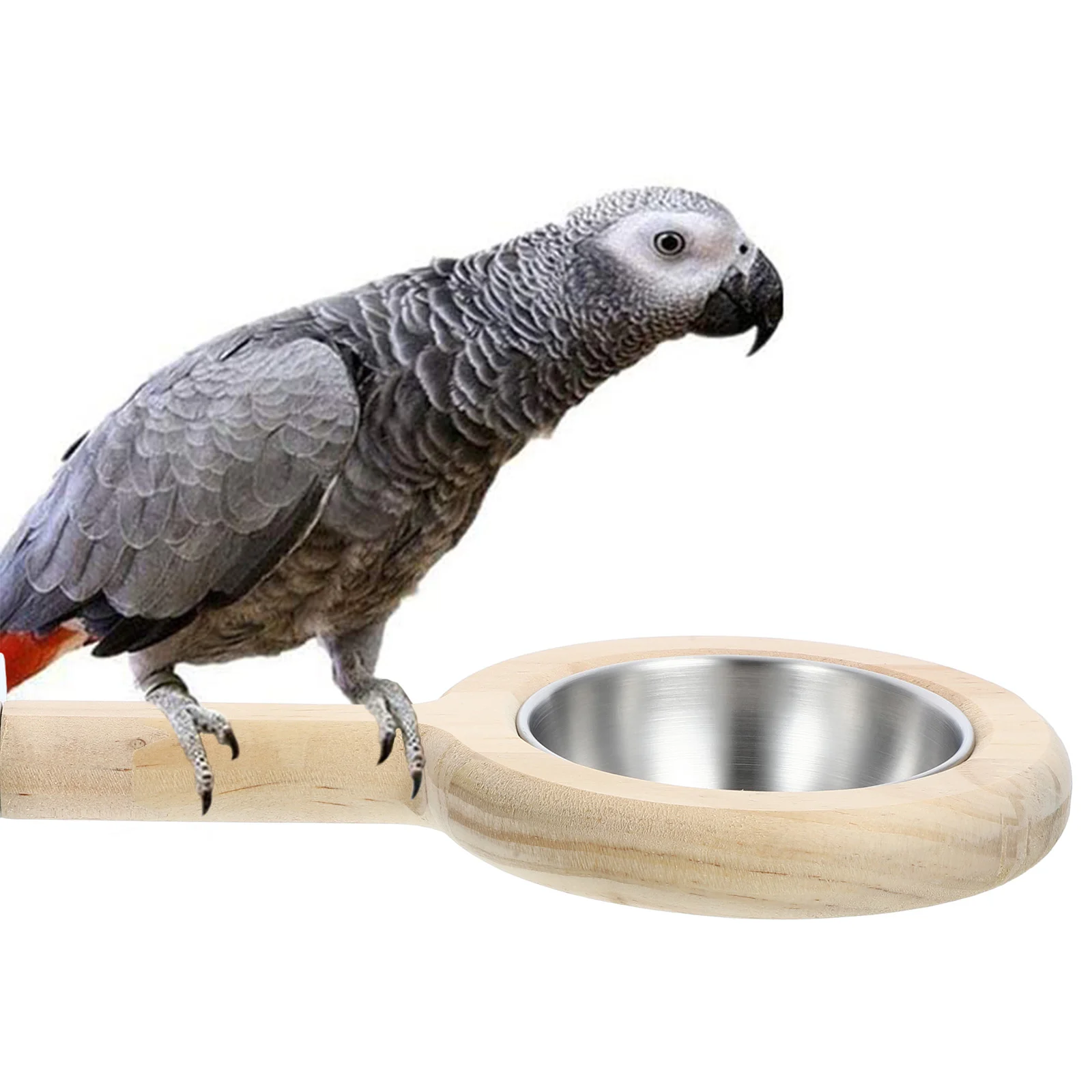 Bird Perch Bowls for Cage Feeder Striped Bass Parrot Hanging Food Organizer Stainless Steel