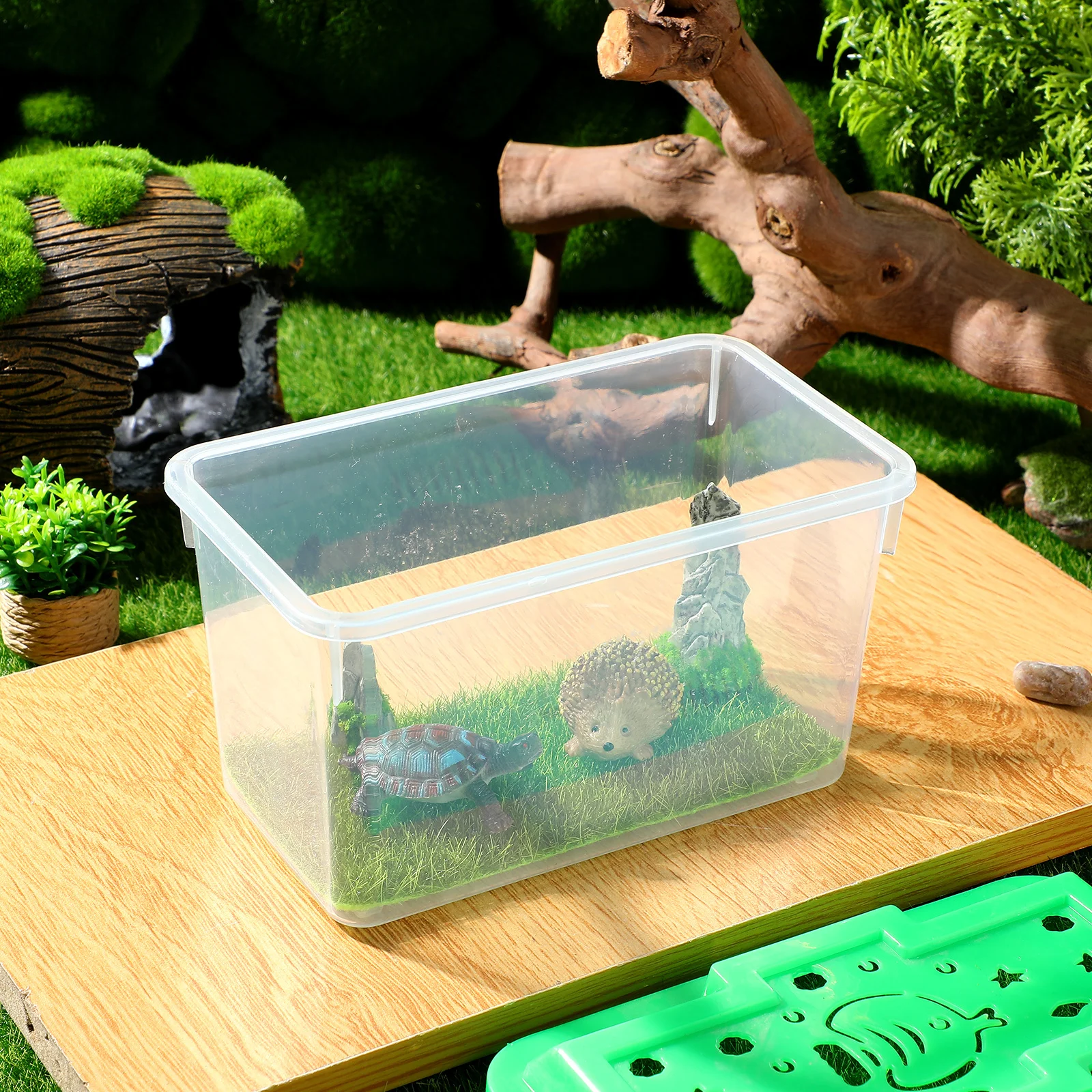 1 خزان الأسماك المحمولة واضح حوض السمك الصغير للسلحفاة الصغيرة الهامستر بيتا الأسماك الزواحف تررم صندوق نقل الحيوانات الأليفة الشفاف