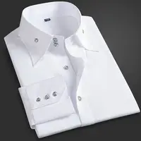 Camisa ejecutiva para hombre de primavera y otoño, ajuste coreano, ropa Formal de oficina de prensa permanente, informal de negocios de manga larga fina transpirable