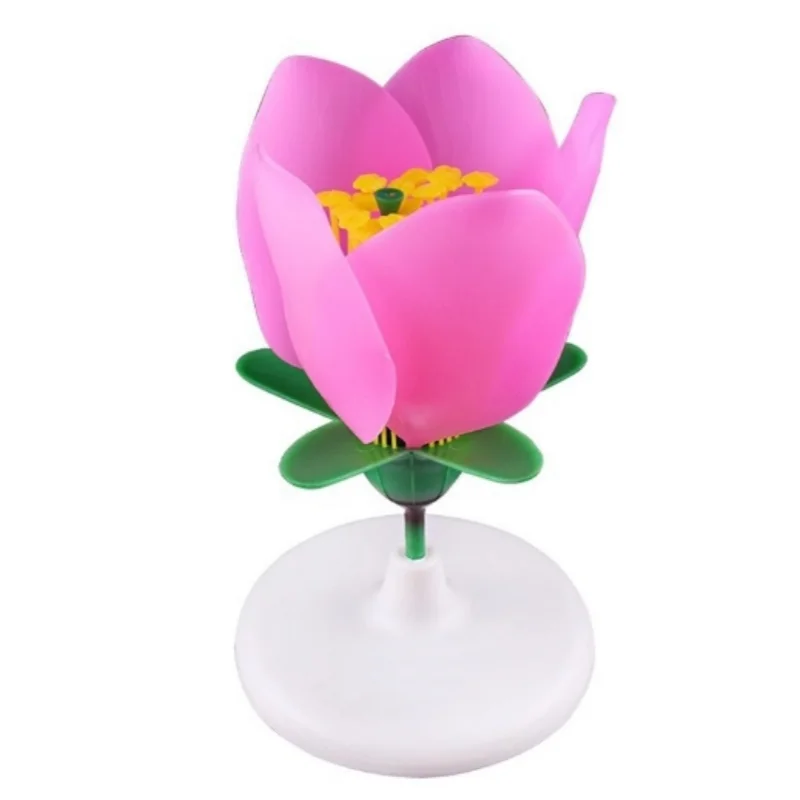 

Peach Blossom Model Stamen Petal Enlarged Structural Anatomy Model