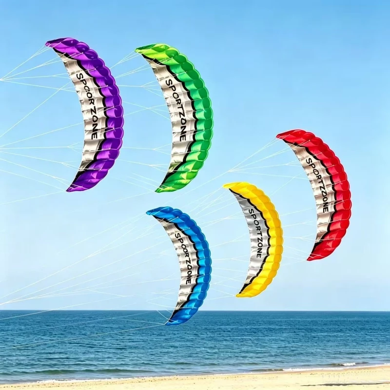 250cm-カイトサーフィン-デュアルライン-スタントパワーカイト-ビーチアクセサリー-大人用ソフトカイト-カイトサーフィン-プロ用ウィンドカイト-ピパコイ