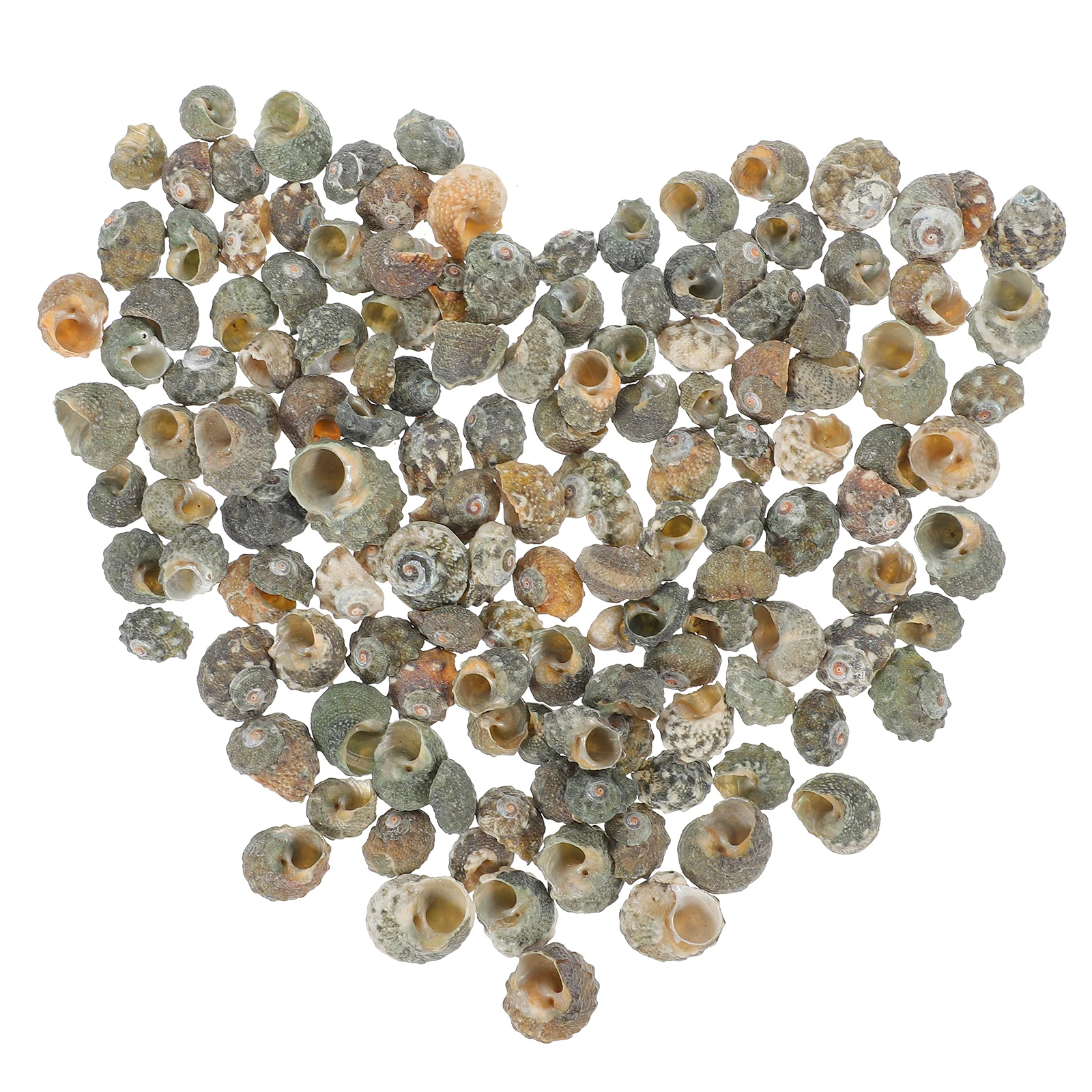 

200 Pcs Natural Conch Shells 1 1 5 Cm Aquarium Decoration Fish Tank Landscape DIY Craft Supplies Pet Accessories