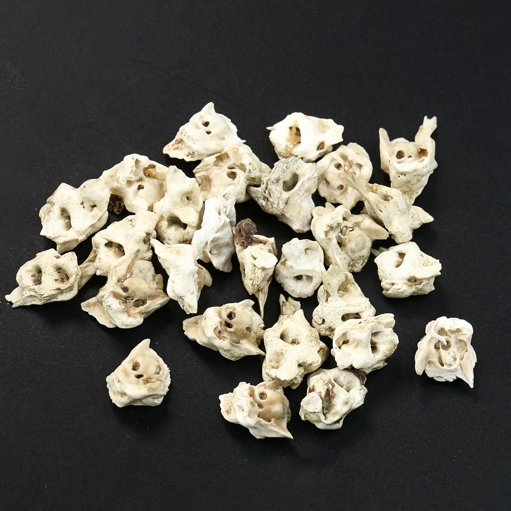 Natural Rough Pig Bone Loose Beads Irregular Charms DIY Woman Man Birthday Bracelet Necklace Earrings Jewelry Making Accessories