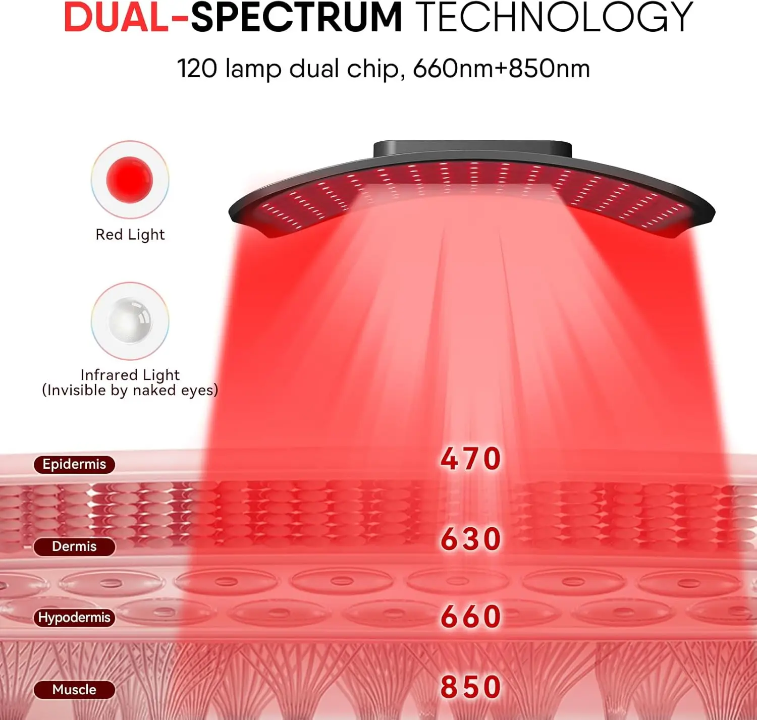 Panel de terapia de luz roja con soporte ajustable, dispositivo de luz infrarroja cercana LED de doble Chip de 660 y 850 nm para la salud de la piel, alivio del dolor