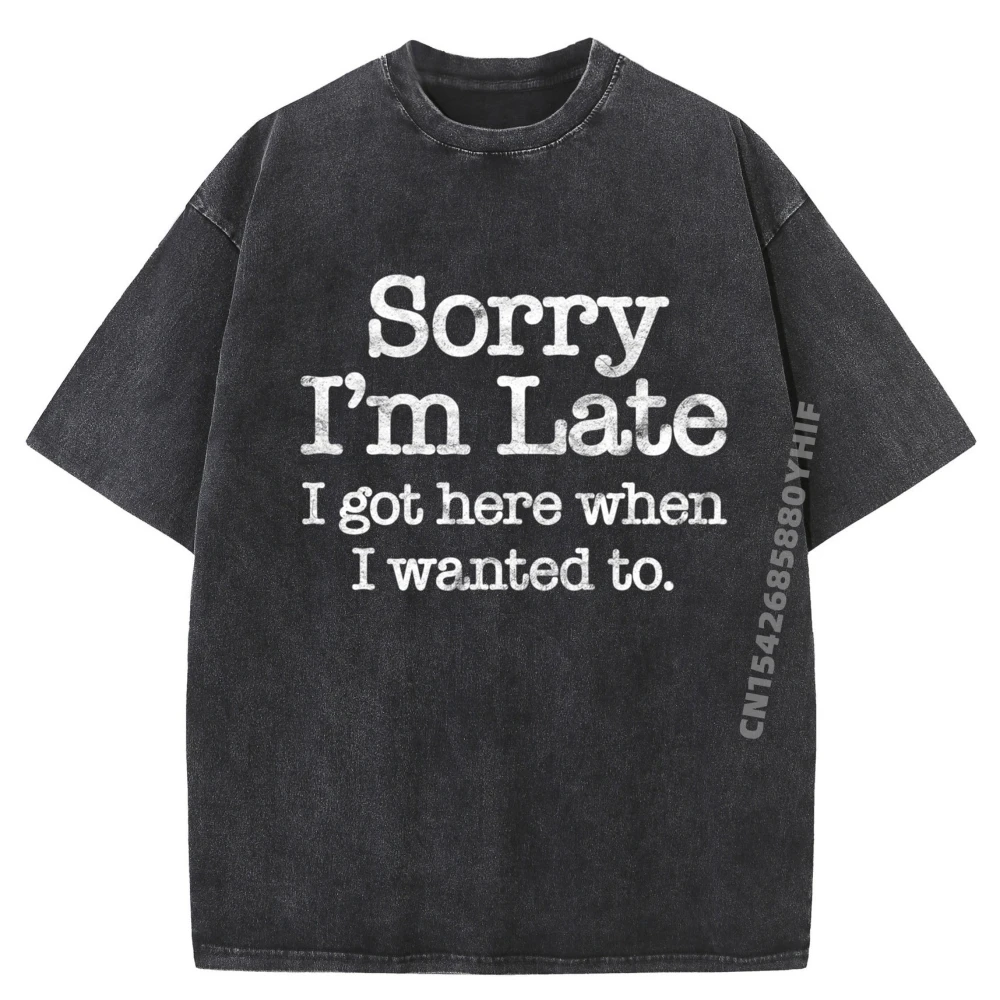 

Извините, я опоздал, я получил здесь, когда я хочу сарказма. Серая рубашка с рисунком. Повседневная стираная одежда. Иллюстрация.