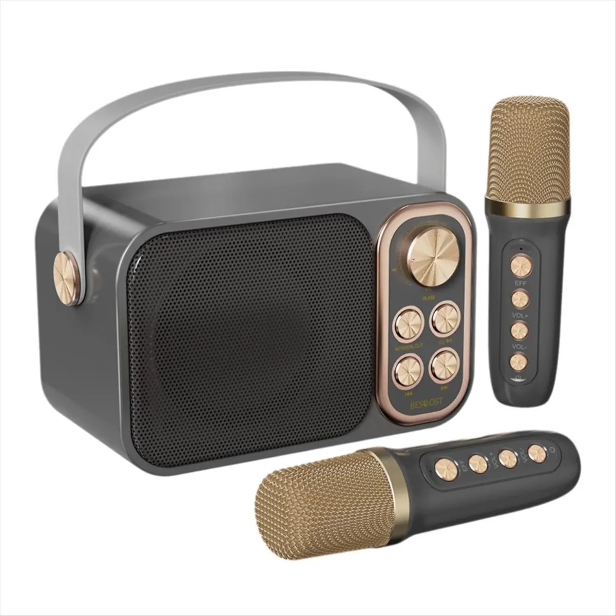 DT563 Mon.Portable Karaoke Machine with RGB LED Lights Wireless Microphones HIFI Stereo Surround Voice Effects for Parties