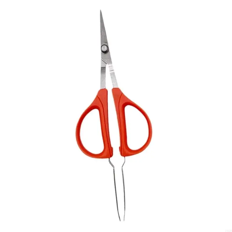 

High Precise Harvesting Scissors Suitable For Grapes And Citruses With Nonslip Tweezers Feature Easy Pruning Deadheading