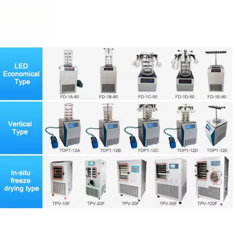 Small Laboratory Freeze Dryer Freeze Dryer With Multi Manifold Cover And Auxiliary Heating Freeze Dryer
